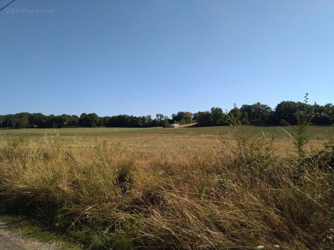 Terrain à VAILHOURLES