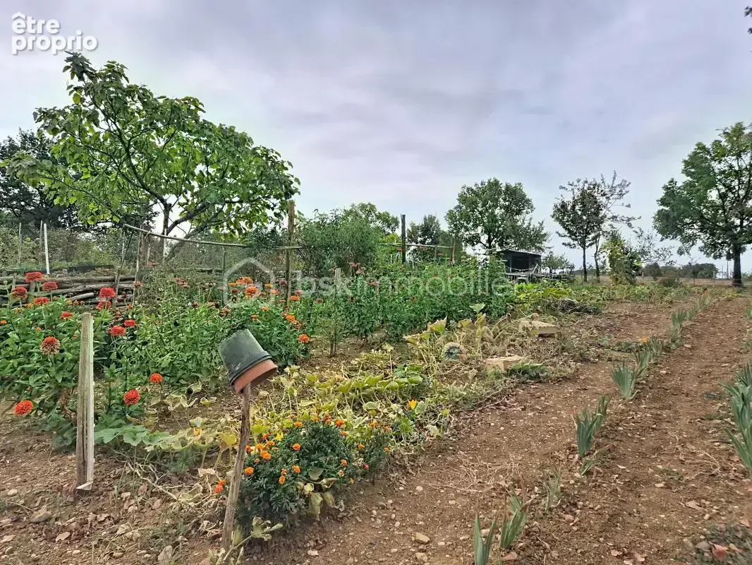 Propriété de caractère avec auberge sur plusieurs hectares – Lavit - photo 5