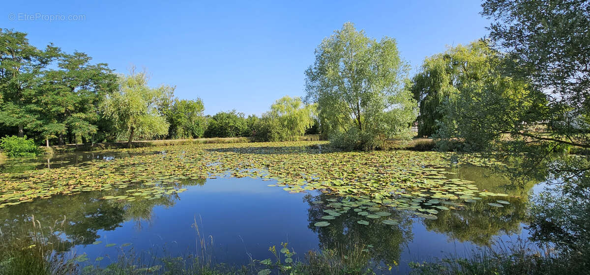 Maison à SAINTE-MAURE-DE-TOURAINE