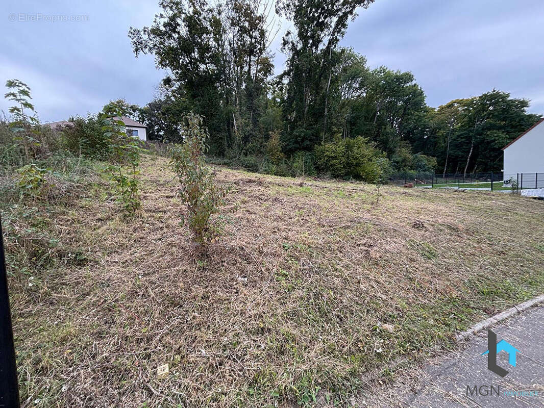 Terrain à NOGENT-LE-ROI