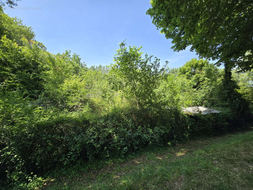 Terrain à CHATILLON-SUR-INDRE