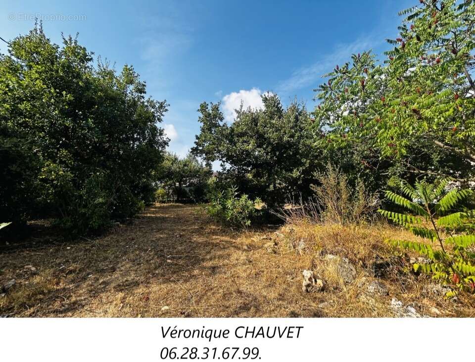 Terrain à DRAGUIGNAN