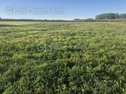 Terrain à RAZAC-D&#039;EYMET