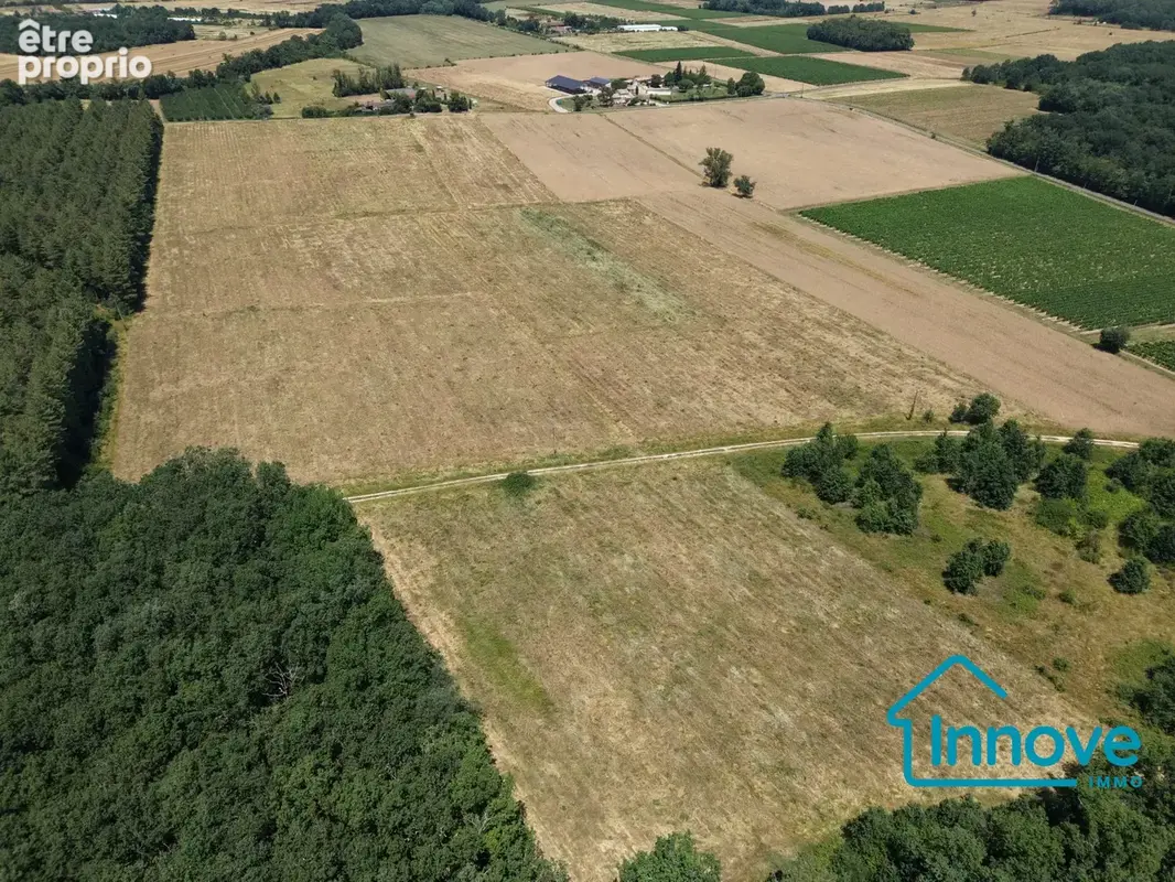 Terrain 100 473 m² à vendre à Fronton (31620) - photo 2
