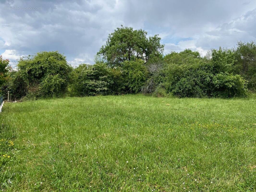 Terrain à JARNAC