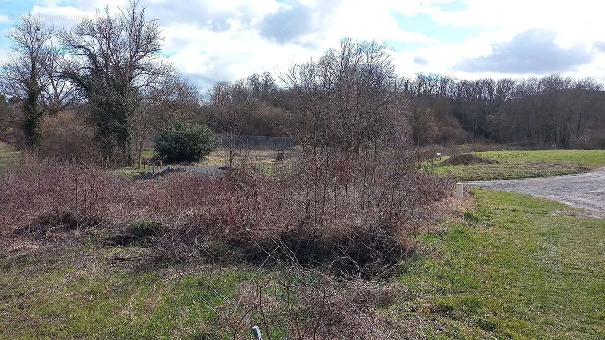 Terrain à SAINT-GEORGES-SUR-ALLIER