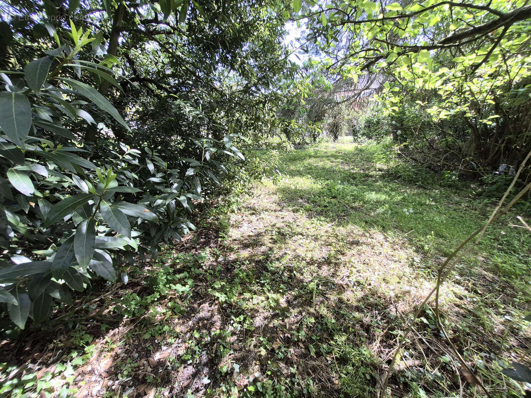 Maison avec dépendance et 2000 m2 terrain - photo 42