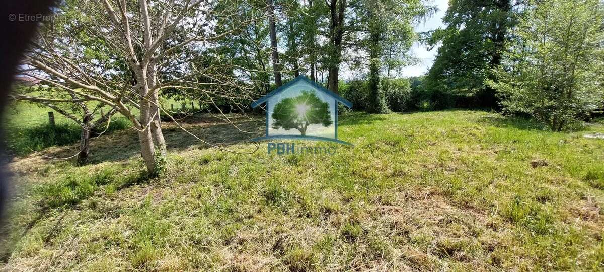 GRANDVILLERS(88)- Terrain avec étang sur 1758m2. - photo 7