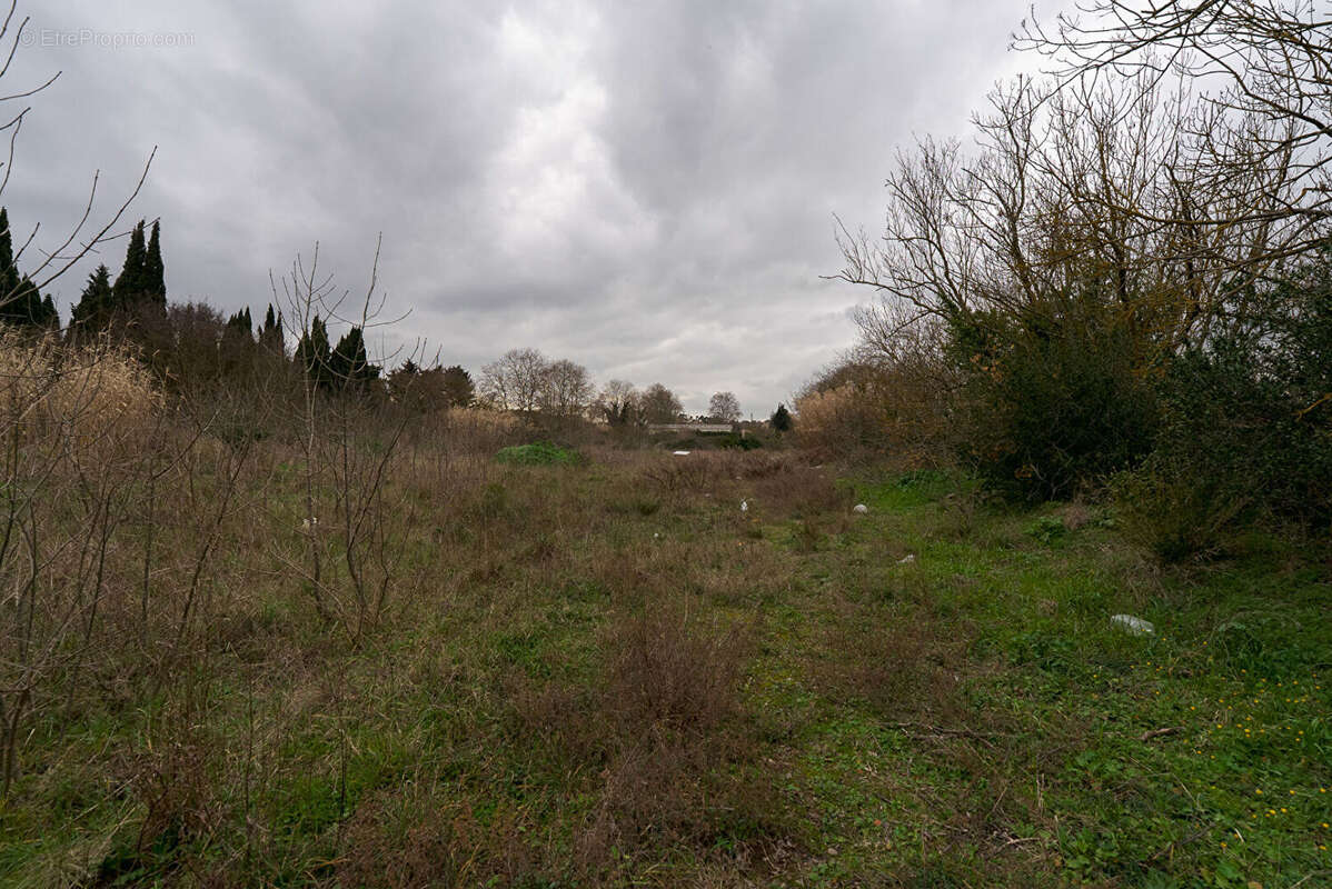 Terrain à CARCASSONNE