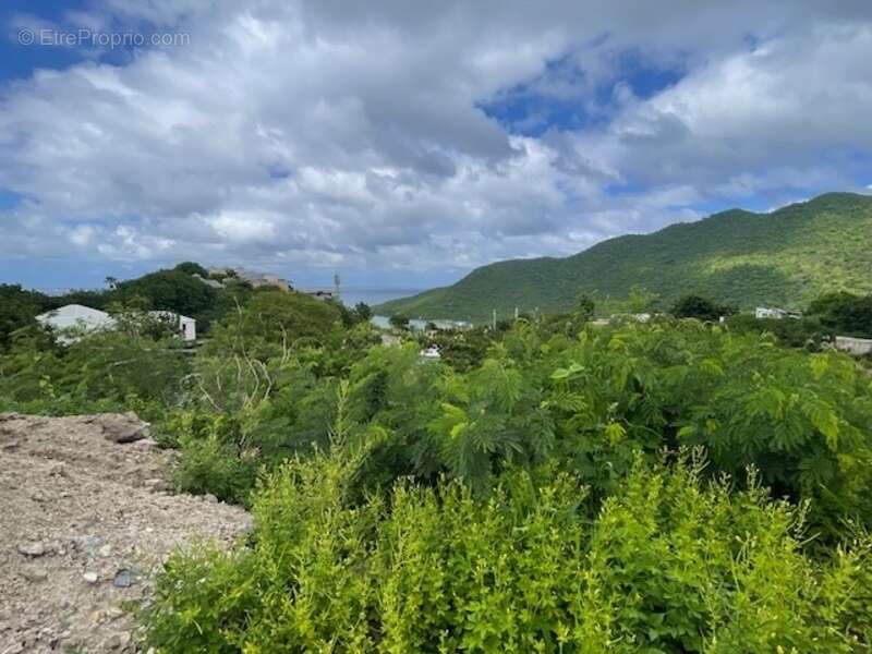 Terrain à SAINT-MARTIN