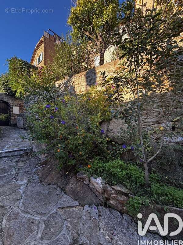 Photo 6 - Maison à BORMES-LES-MIMOSAS