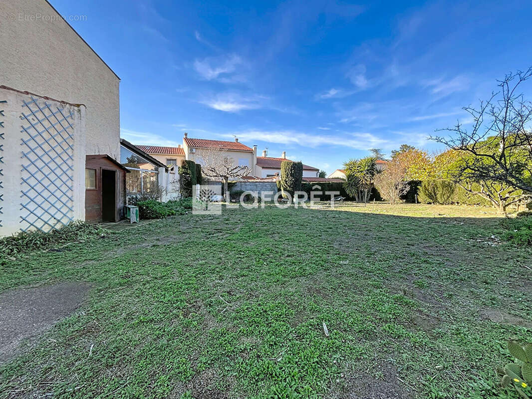 Terrain à SAINT-FELIU-D'AMONT