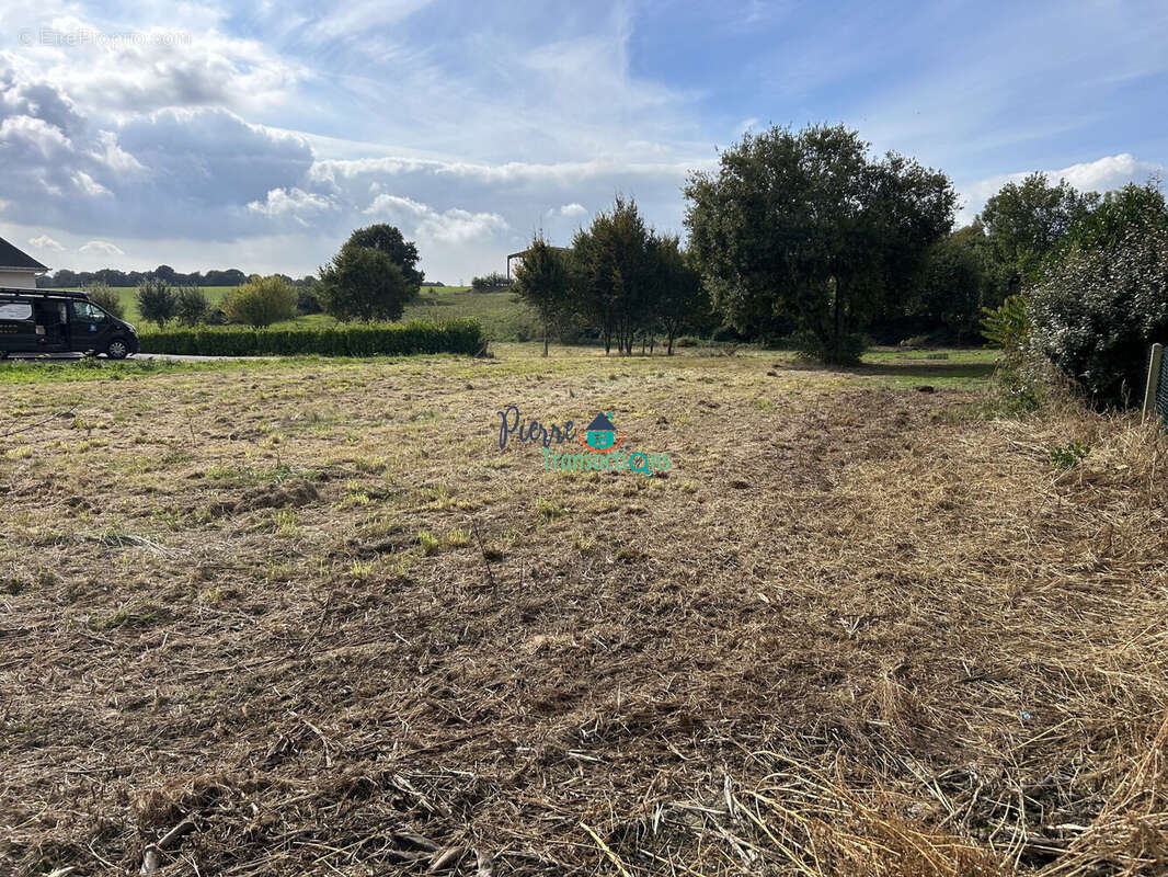 Terrain à SAINT-NICOLAS-DE-LA-TAILLE