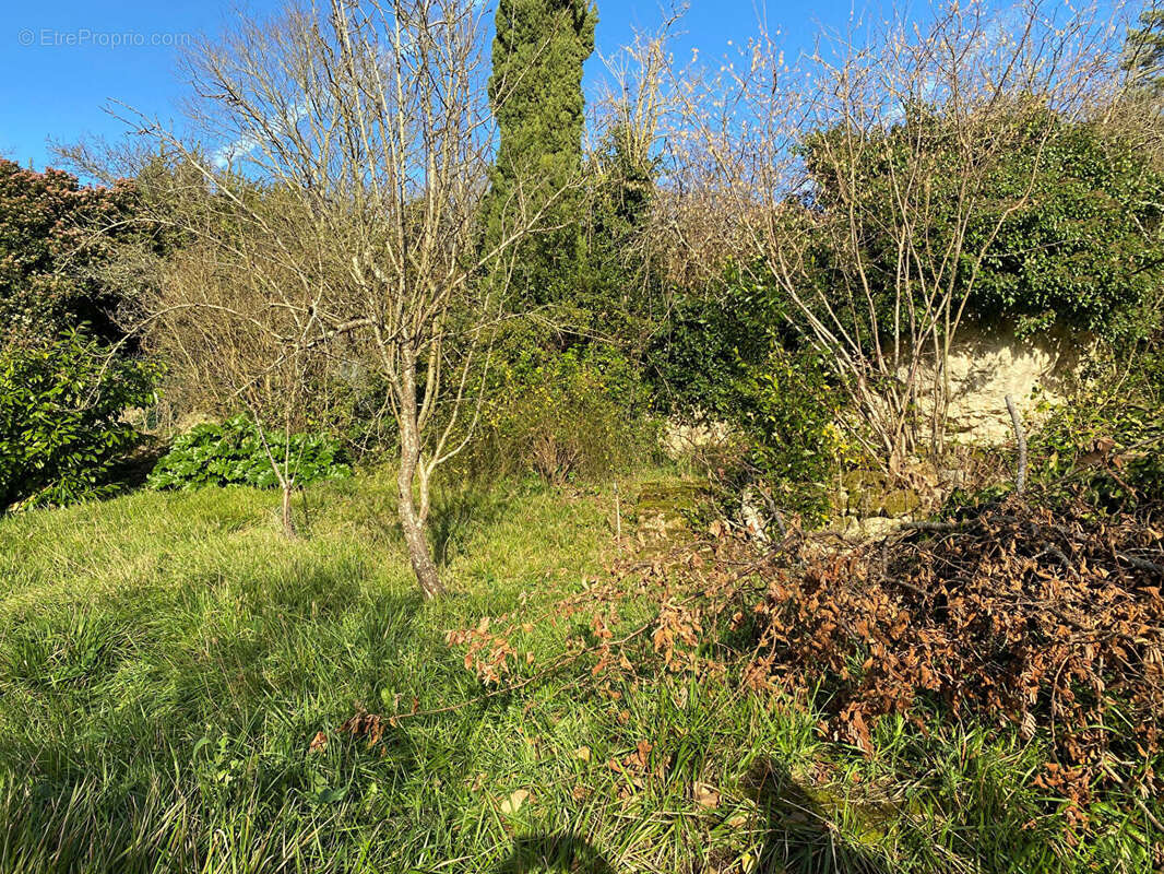 CHAUVIGNY, ensemble de 3 appartements de type 3 - photo 3