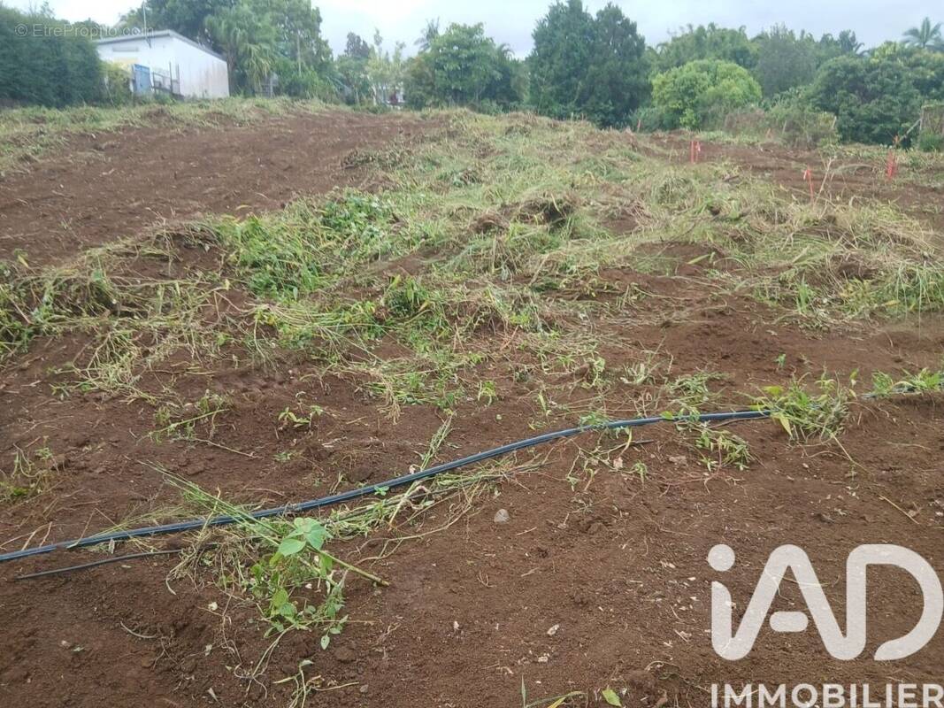 Photo 1 - Terrain à SAINT-PAUL