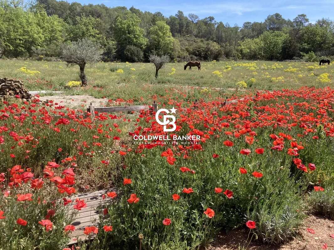 Maison à SAINT-ANTONIN-DU-VAR