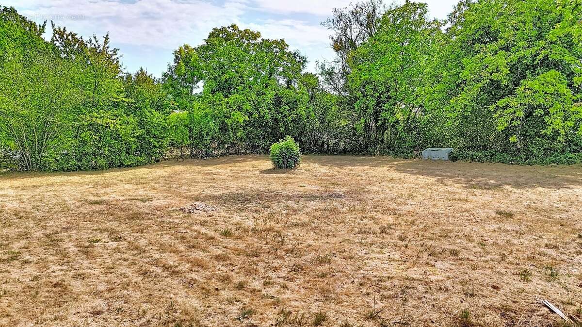 Terrain à vendre de 1 200,00 m² VERS SOUS SELLIERES (39) - photo 8