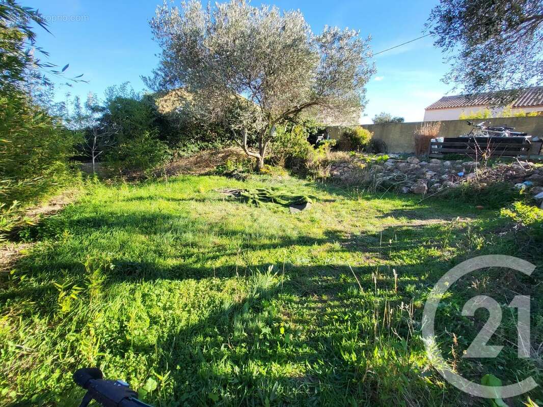 Maison à FRONTIGNAN