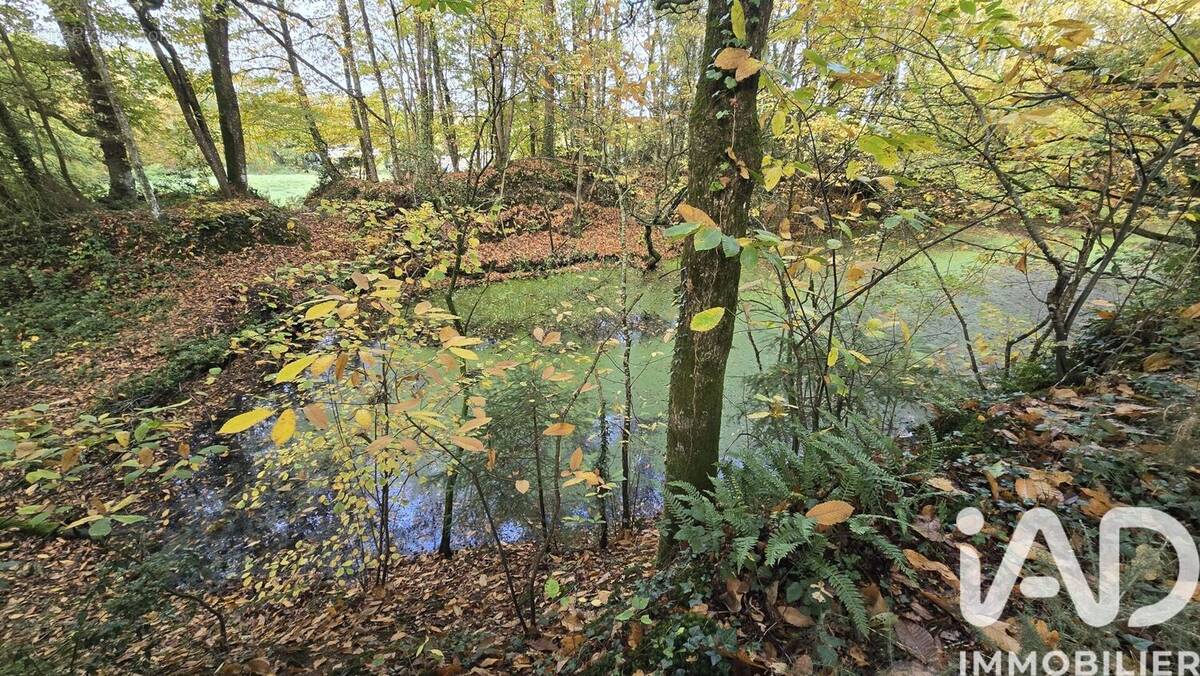 Photo 1 - Terrain à VIEUX-VY-SUR-COUESNON