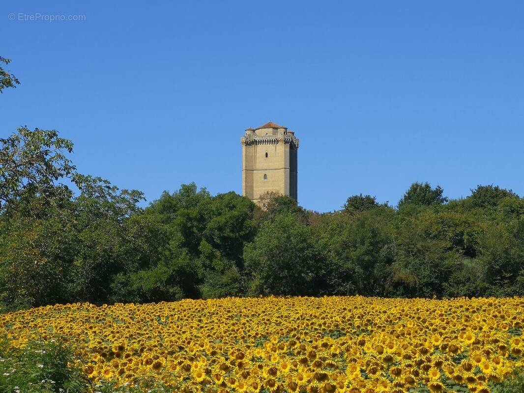 Bassoues - Maison à BASSOUES