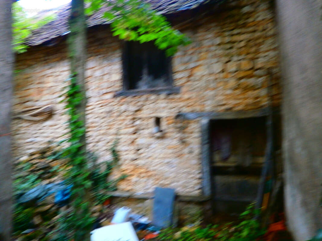 Commerce à LES BORDES