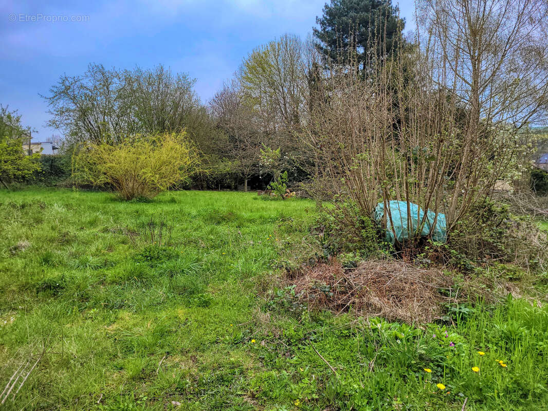 Terrain à DOMART-EN-PONTHIEU