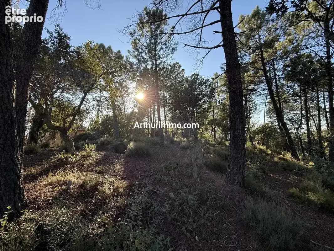 Terrain à VIDAUBAN