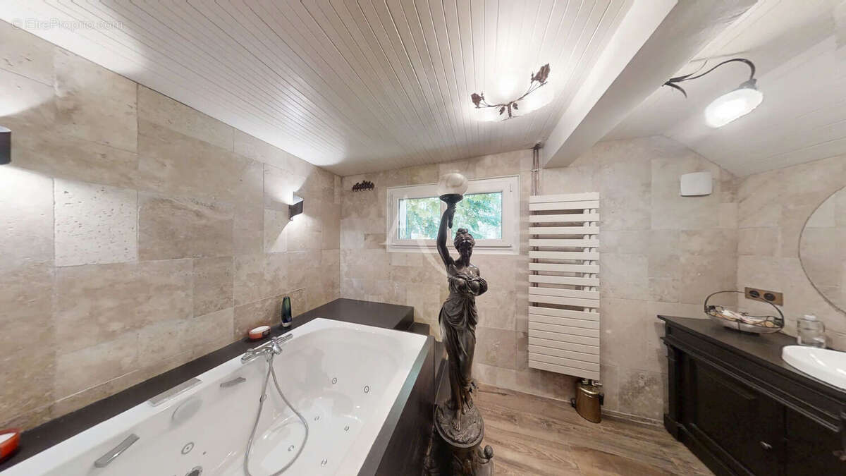 Maison Vimory  + plan d'eau et D. garage - photo 9