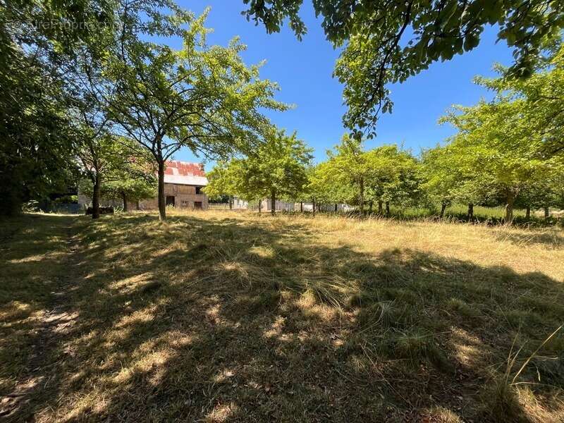 Havre de paix : Maison en pierre rénovée et son verger de 150 pommiers — Rare sur le marché - photo 2