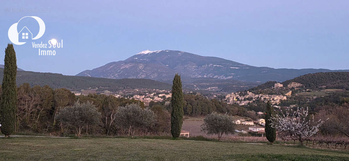 Vaison la Romaine - Propriété habitation et gîte - 8 pièces - 250m2 - 6985m2 - photo 4