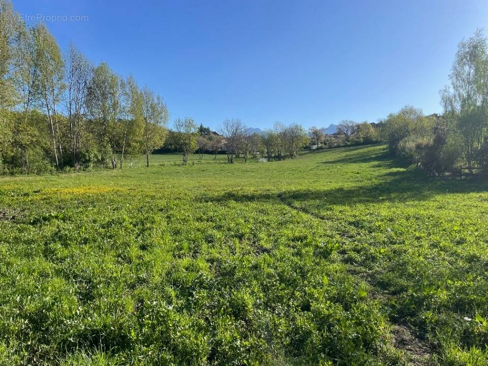 Terrain à GAP