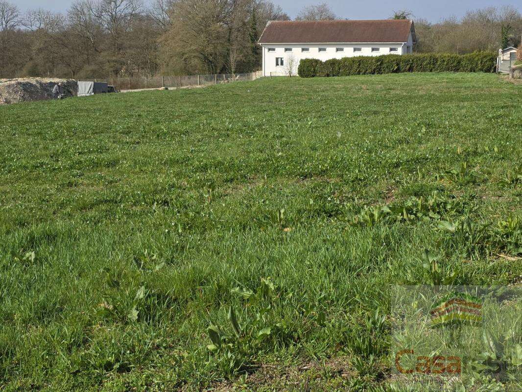 Terrain à BETHONVILLIERS