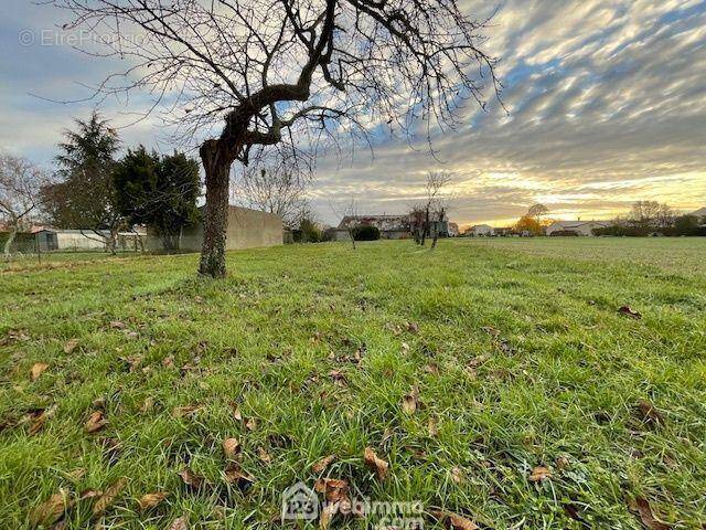 Grand terrain de 1589 m2, au c½ur du bourg de Liniers, - Terrain à CLOUE