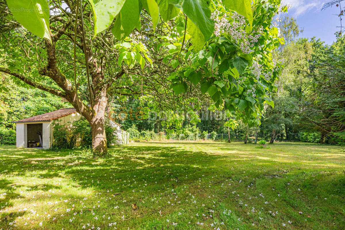 La chevrolière -- le pont du gui -- plain pied 123m² -- grand jardin 3000m² - photo 4