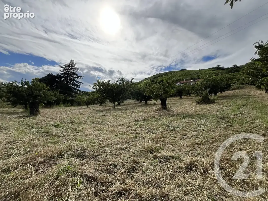 Terrain 2 215 m² à vendre à Saint-Desirat (07340) - photo 6