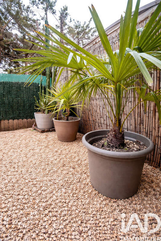 Photo 4 - Appartement à MARSEILLE-9E