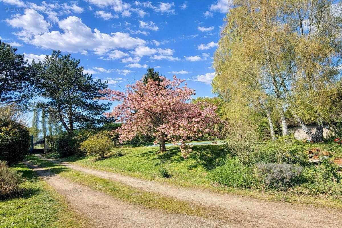 Photo 4 - Maison à LA FERTE-BERNARD