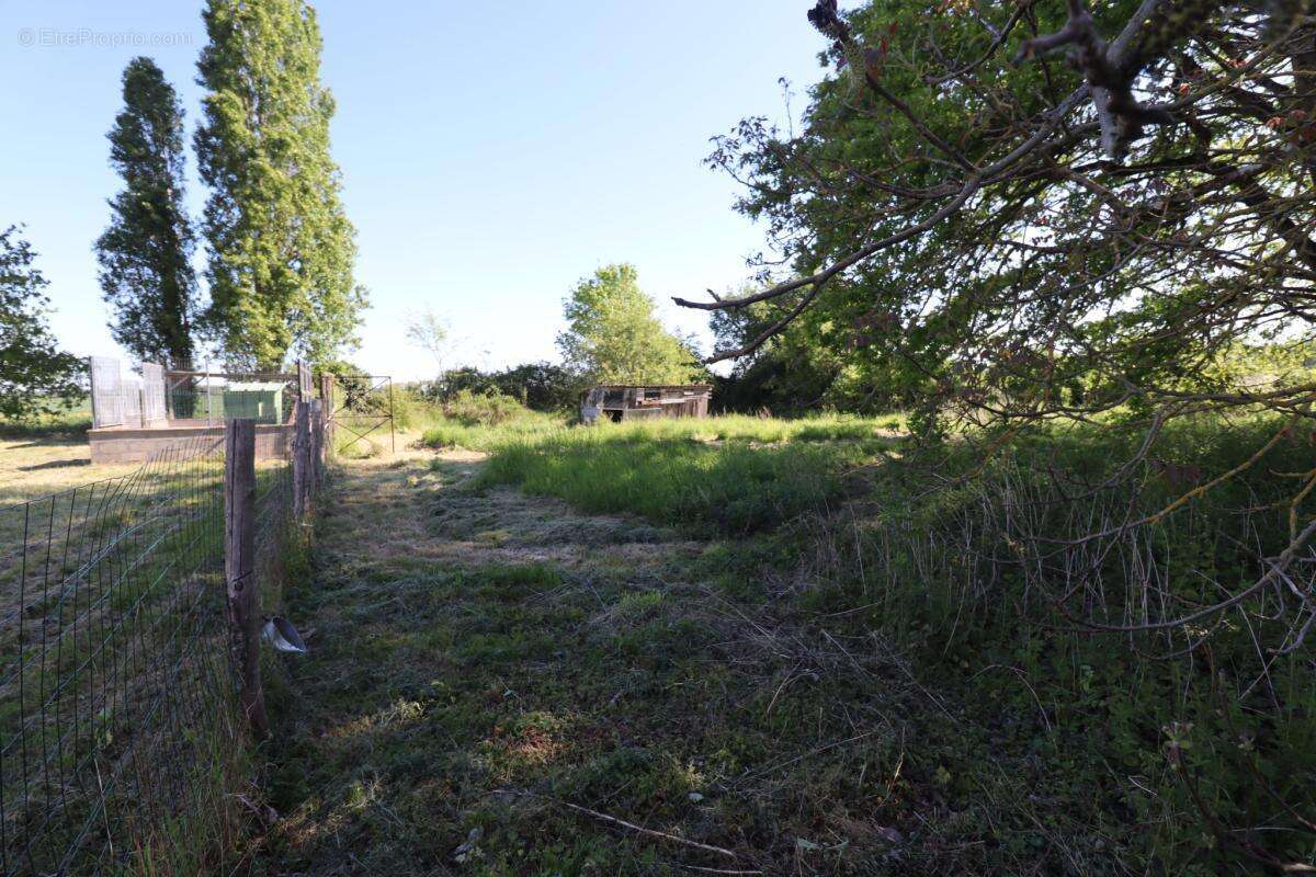 Charmante maison de caractère sur plus de 7000 m2 de terrain - photo 4