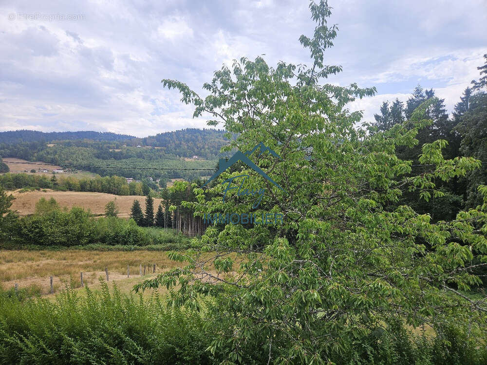Maison de plain pied sur sous-sol - La Forge - photo 9
