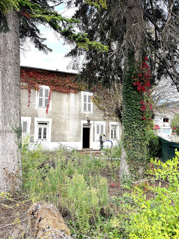 Photo 1 - Maison à CHATILLON-LA-PALUD