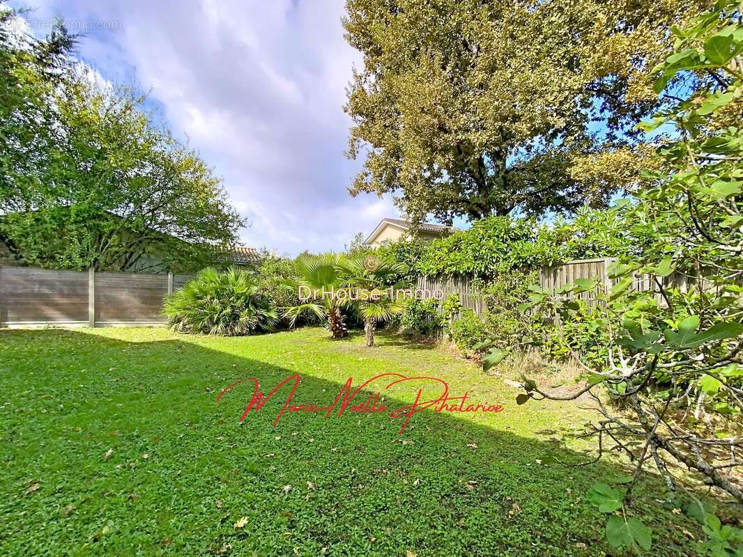 Maison à SAINT-MEDARD-EN-JALLES