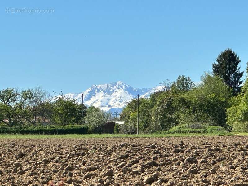 Maison isolée à la campagne, avec vue sur les Pyrénées, Environnement naturel et Bio - photo 18