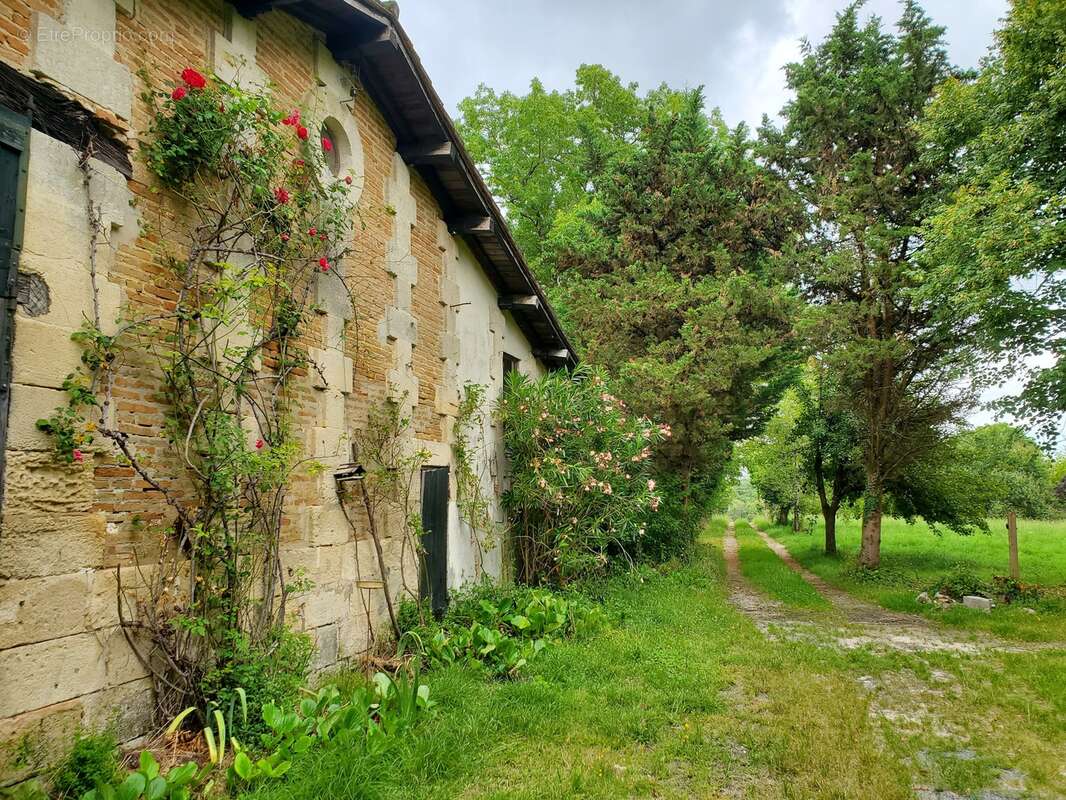 Maison 240 m² à Tizac-De-Lapouyade  - photo 35