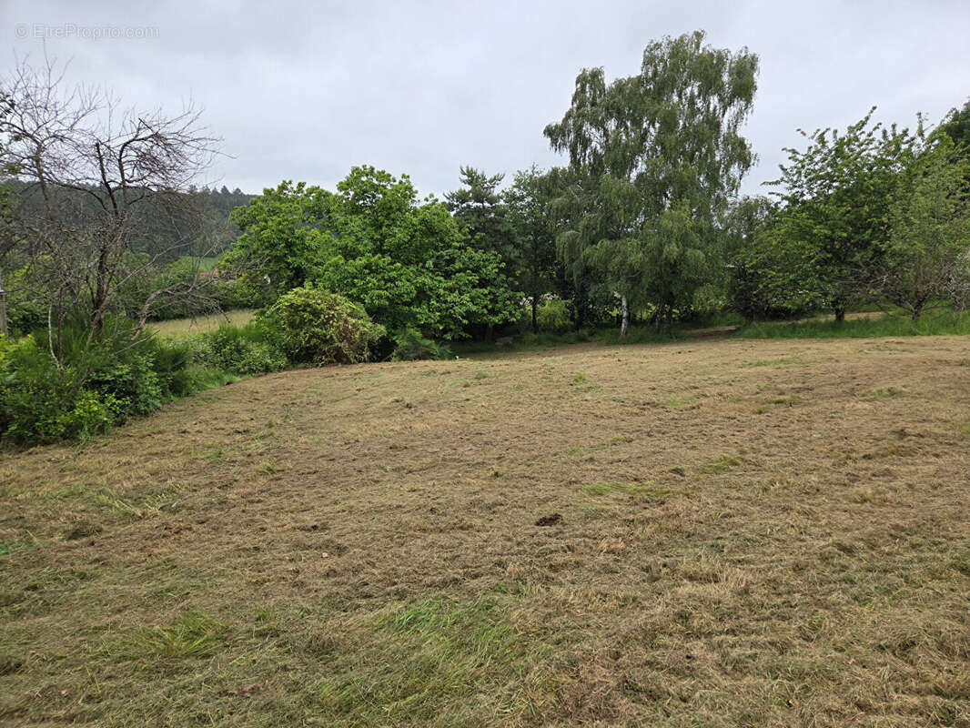 Terrain constructible de 2402m² - photo 2