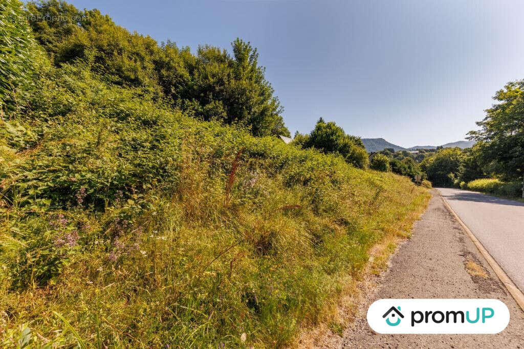 Terrain à MURAT-LE-QUAIRE