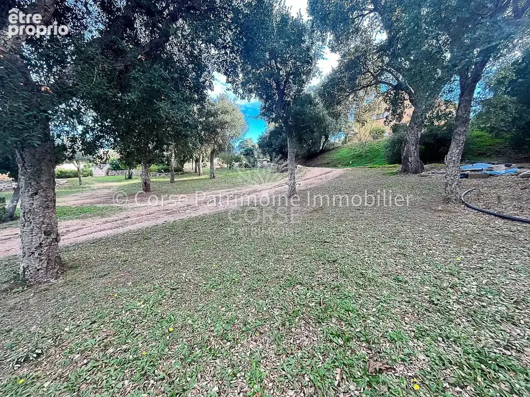 Terrain de 1020 M2 plage à pied - photo 6