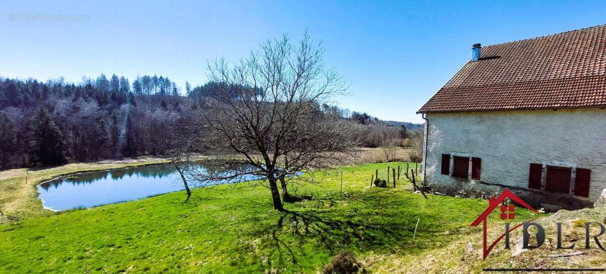 Ancienne ferme à renover avec étang,3 hectares de terrain - photo 6