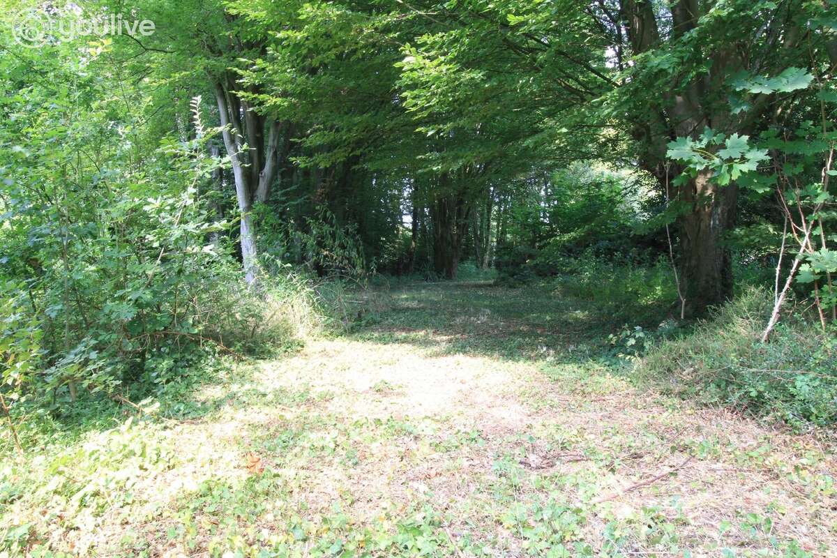 Propriété d'architecte de 316 m² sur un terrain de 14000 m² - photo 27