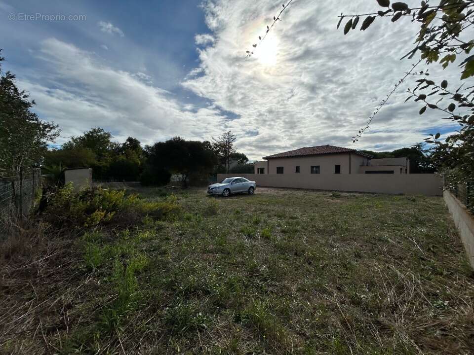 Terrain à MARSEILLAN