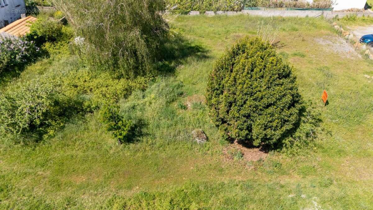 Terrain à LA GUERINIERE